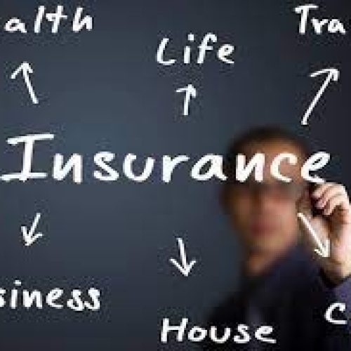 The Essential Role of Insurance Companies in Modern Society